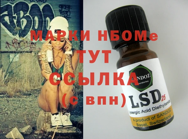 хмурый Абаза