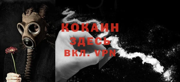 хмурый Абаза