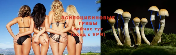 каннабис Абинск