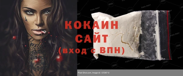 хмурый Абаза