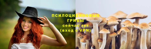 стафф Абдулино