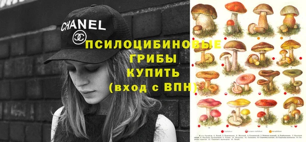 хмурый Абаза