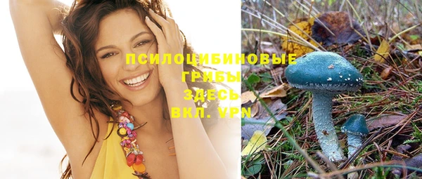 стафф Абдулино