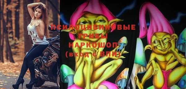 стафф Абдулино