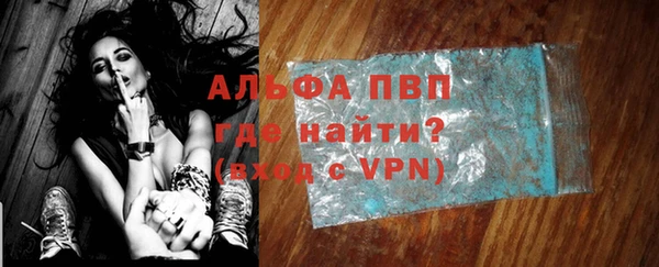 хмурый Абаза