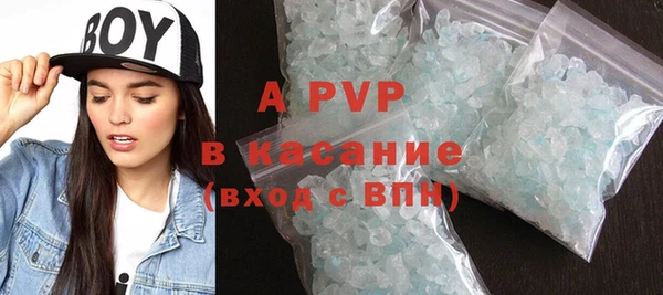 хмурый Абаза